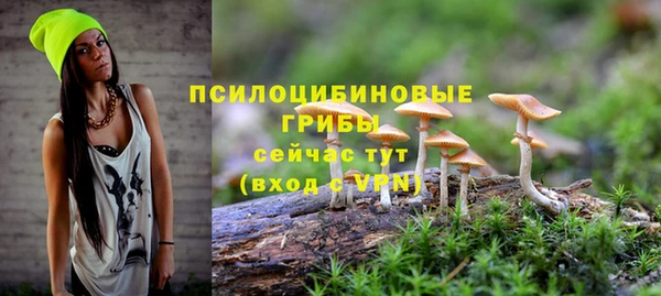 прущая мука Алзамай