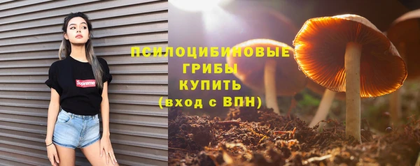 прущий лед Алексеевка